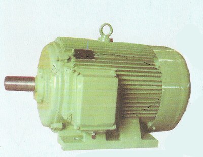 中型低壓三相異步電動(dòng)機(jī)