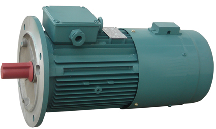 YSP系列變頻調(diào)速三相異步電動(dòng)機(jī)